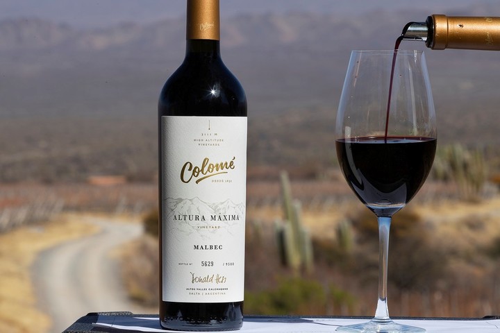 Colomé Altura Máxima, Malbec de un viñedo a 3.111 metros de altura.
