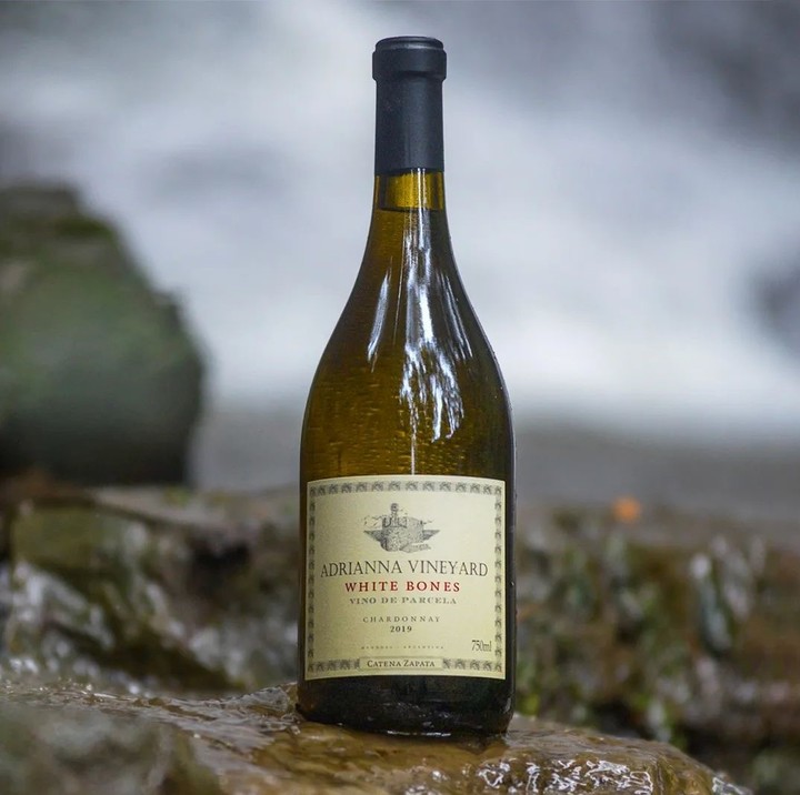 Catena Zapata Adrianna Vineyard White Bones Chardonnay, el mejor blanco del año para Tim Atkin.