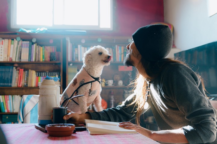 Cáncer necesita habitarse a sí mismo para poder sentirse en casa con otros. Foto: ilustración Shutterstock