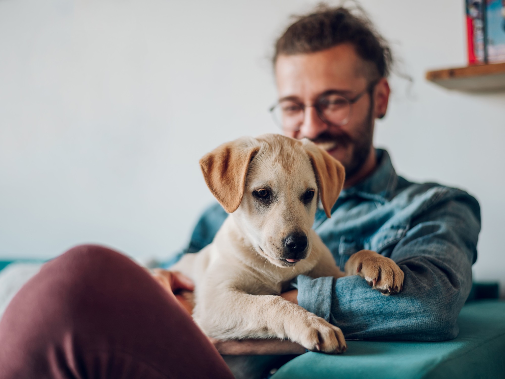 Tener un perro en casa puede traer mejoras concretas en la salud física, emocional y social. Foto ilustración: Shutterstock.