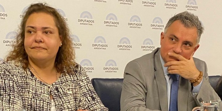 Mirian Niveyro, la legisladora libertaria del Parlasur que suena para enfrentar a Cristina Kirchner en la Tercera Sección Electoral.