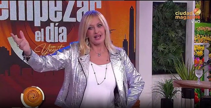 Yuyito González pidió que ya no la vinculen a su ex novio, Javier Milei. Captura TV