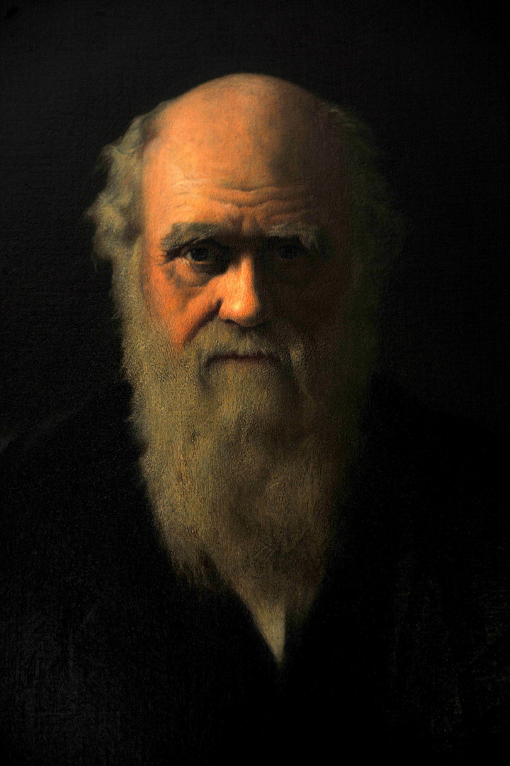 Un retrato del científico británico Charles Darwin, expuesto en su casa en Downe Village, Kent, Reino Unido. EFE/Andy Rain