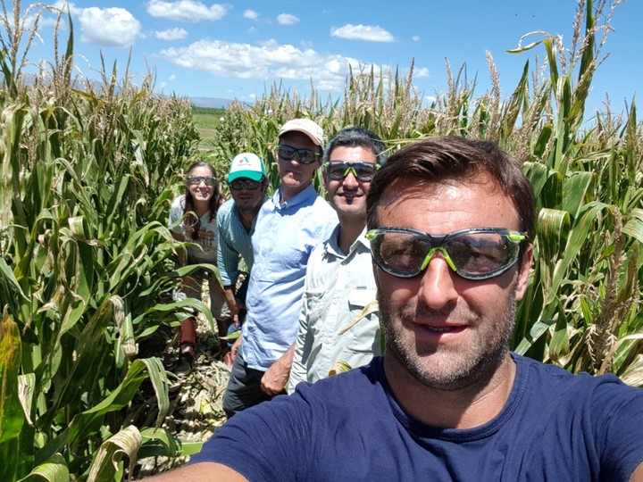 Pablo Talano, consultor privado especialista en el cultivo de maíz.