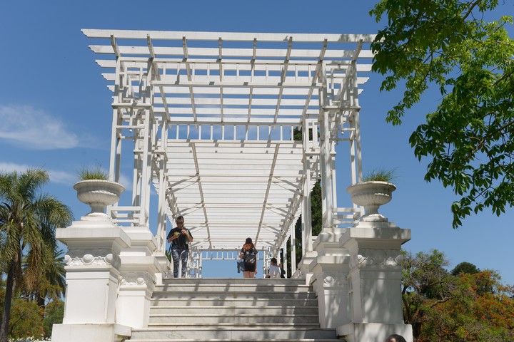 Otra opción puede ser un paseo por el Rosedal de Palermo. Foto: Rafael Mario Quinteros.