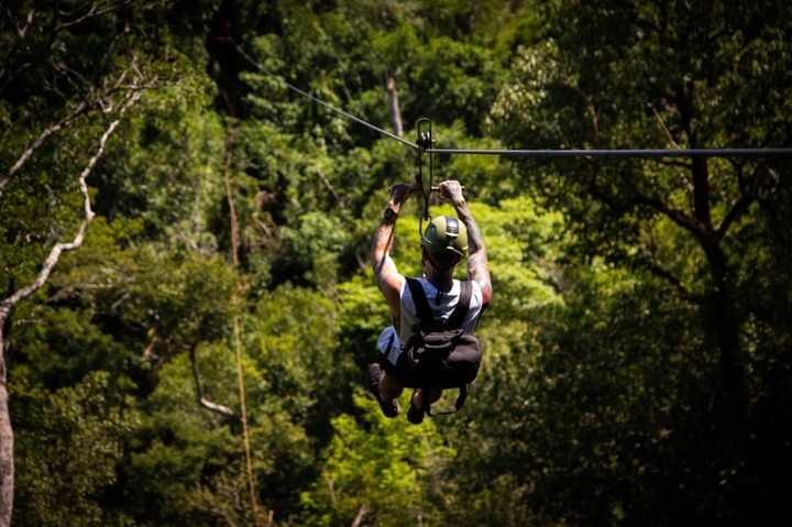 Volando sobre la selva. Foto Jungle Fly