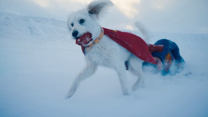 Krypto, el perro con superfuerza, supervelocidad, vuelo, visión de rayos X, aliento congelante, superoído...