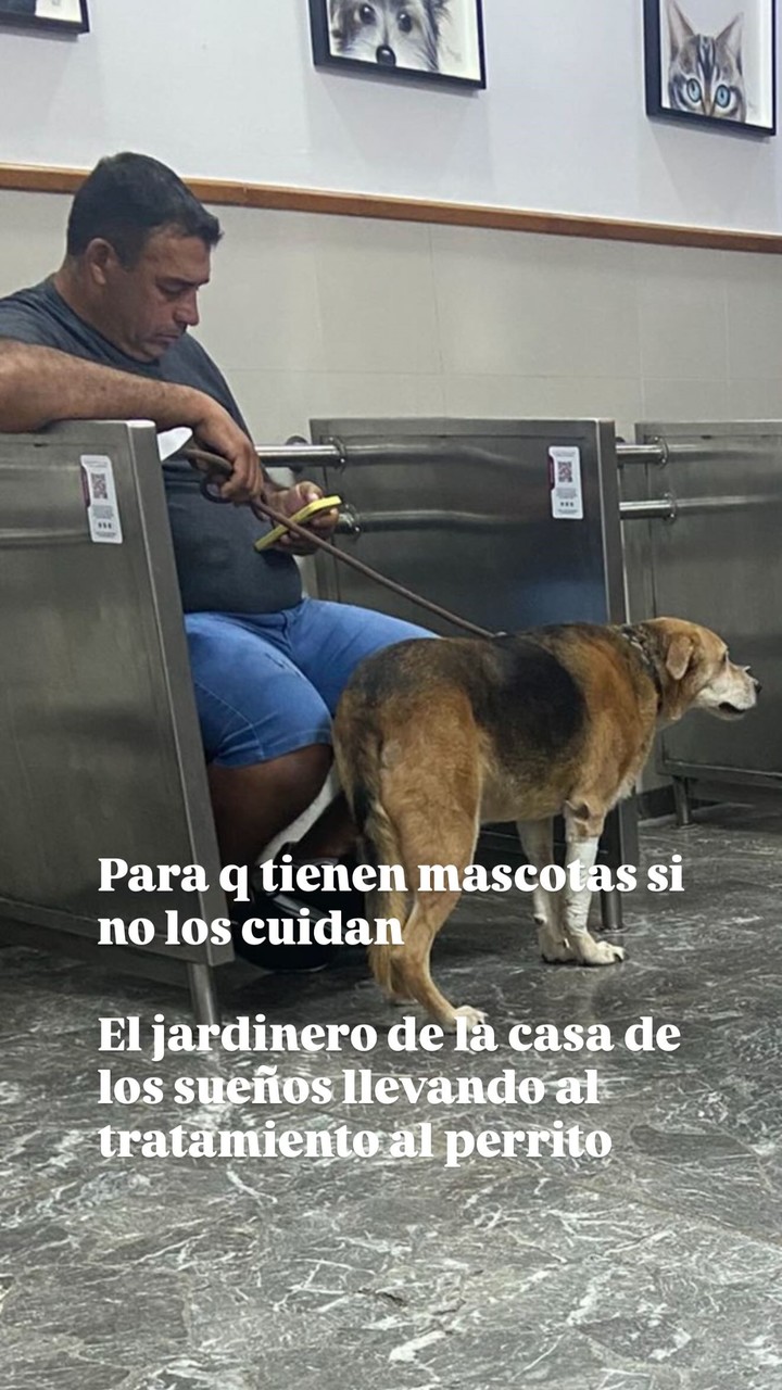 El jardinero de Mauro con Wet en una veterinaria. Foto: Instagram