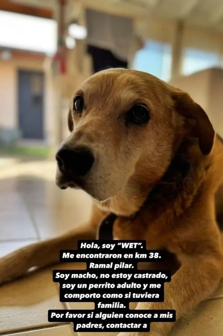 La historia con la que La China le había presentado a Wet a sus seguidores. Foto: Instagram