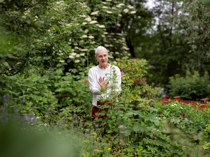Dijeron que su jardín ha sido un refugio, especialmente en los últimos meses, ya que la Sra. Elkundh ha estado recibiendo tratamiento contra el cáncer de mama. Sofía Runarsdotter para The New York Times