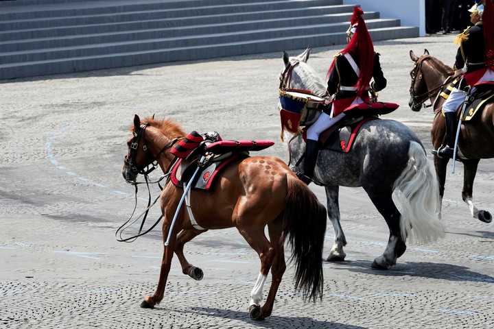Un caballo desbocado durante el desfile. Foto: AP