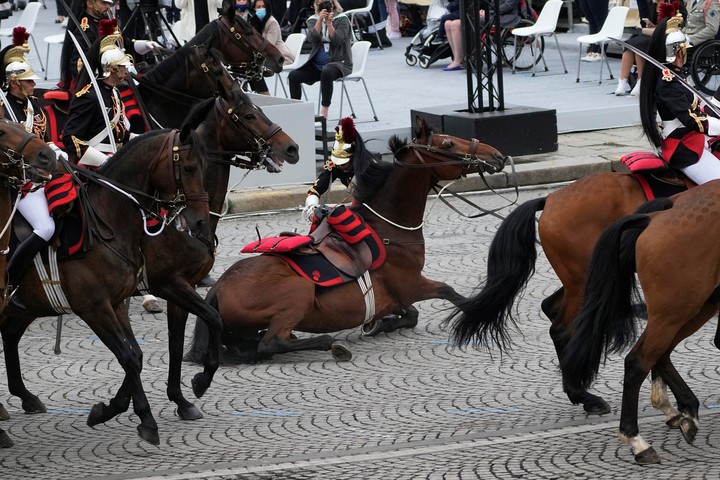 Un guardia republicano cae de su caballo. Foto: EFE