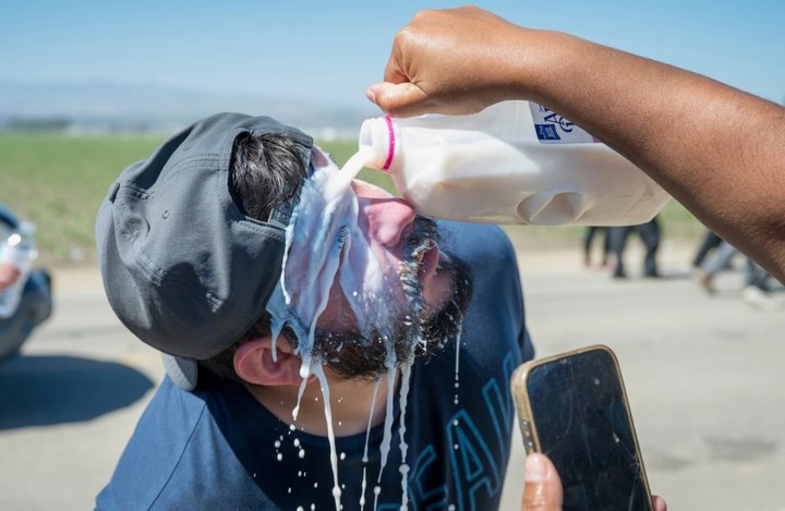 Vierten leche en la cara de un manifestante después de que agentes federales lanzaran gases lacrimógenos en Camarillo. Foto: AP