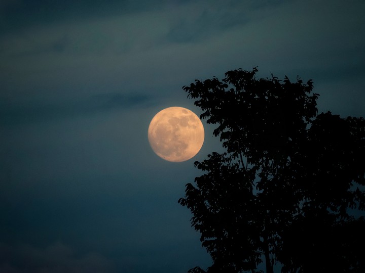 El 10 y 11 de agosto la Luna pisciana nos pide pausa, empatía y entrega. Foto ilustración Shutterstock.