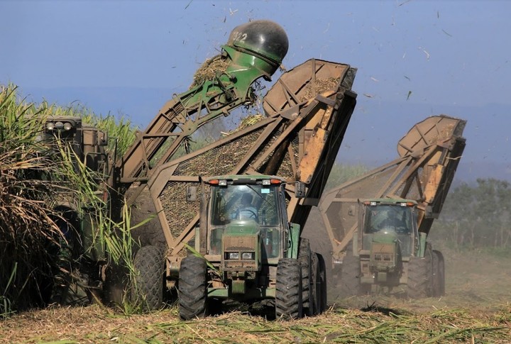 La  zafra en Ledesma