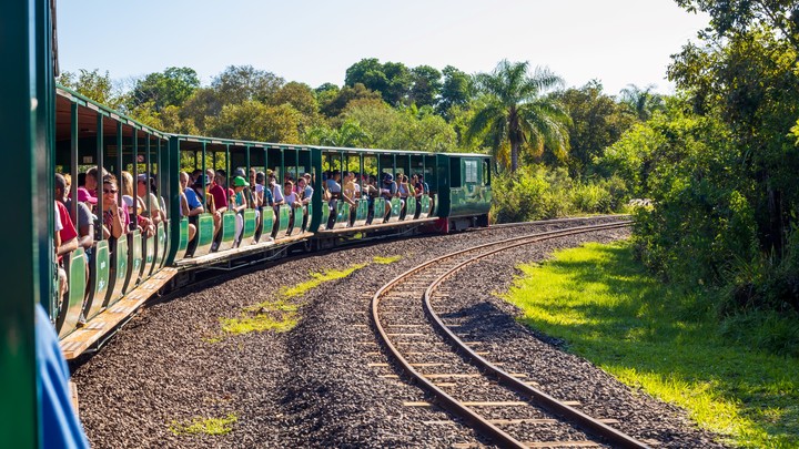 Tren ecológico de la selva en el Parque Nacional Iguazú. Foto Shutterstock