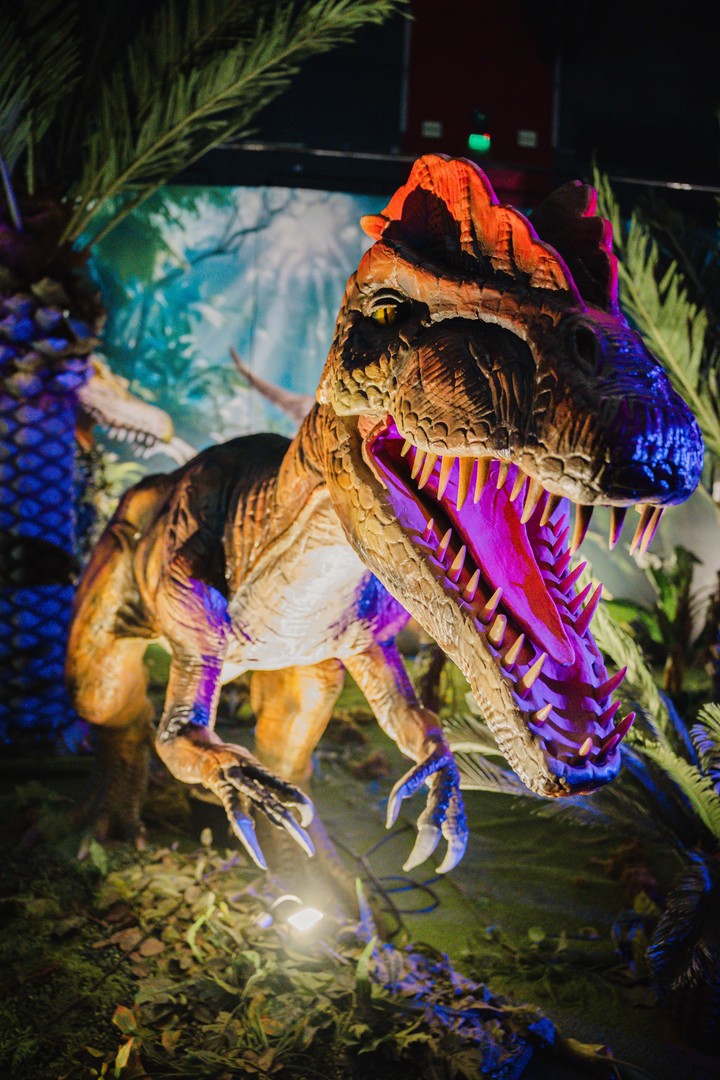 Con más de 30 figuras animatrónicas a tamaño real, la muestra recrea a estas criaturas que habitaron la Tierra hace millones de años. Foto: Dinosaurios y el Mundo Jurásico.