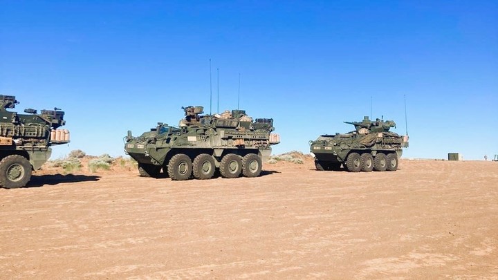 Vehículos de Combate Blindados a Rueda (VCBR) 8x8 Stryker que se incorporarán al Ejército.