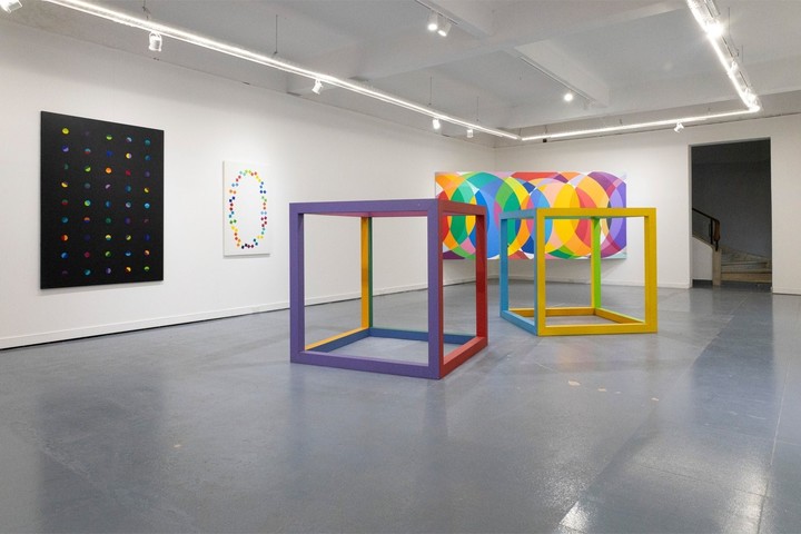 La piel del mundo. Su antología en la galería porteña De Sousa. 
