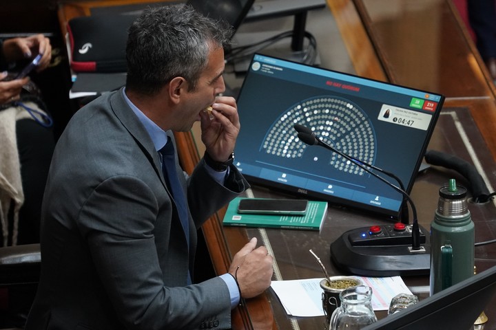 Martín Menem busca garantizar los votos para sostener los vetos de Milei. Foto: Juano Tesone.