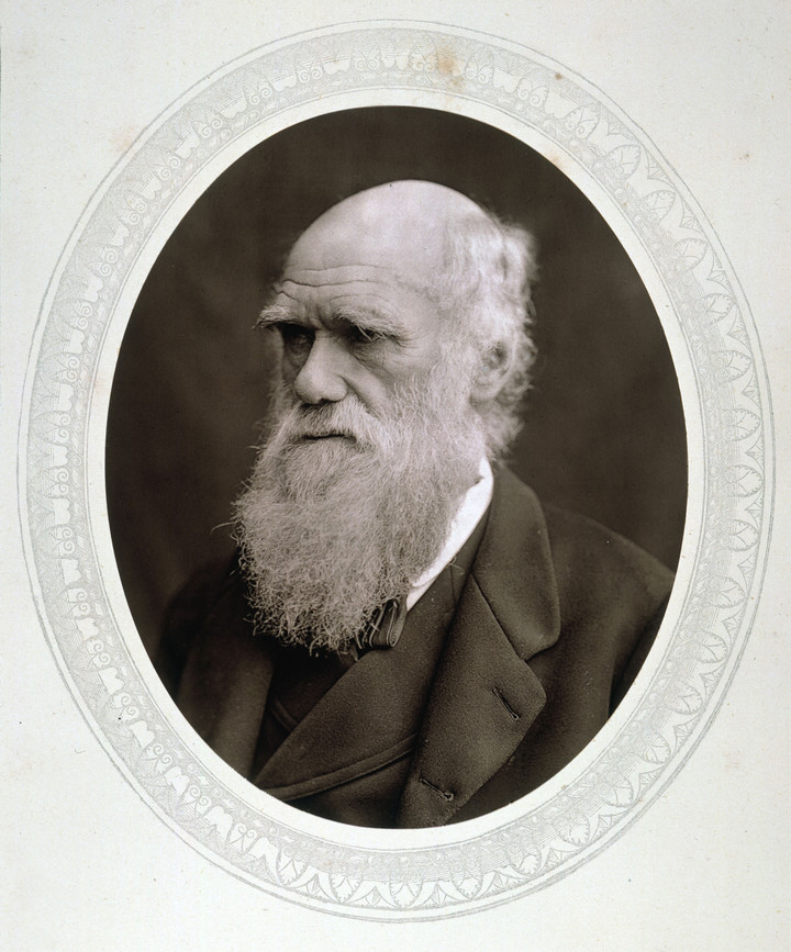 Esta fotografía de 1878, proporcionada por la Colección Granger, muestra al naturalista inglés Charles Darwin. (Foto AP/Colección Granger, archivo)