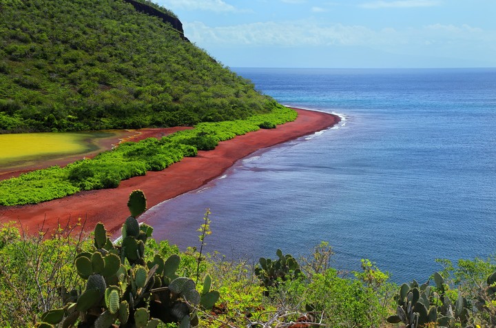 Tal como su nombre lo indica, una "playa roja" en Galápagos, Ecuador. Foto Shutterstock