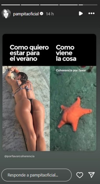 El guiño de Pampita Ardohain al tema del momento, los stream del Conicet. (Foto: Instagram stories @pampitaoficial)