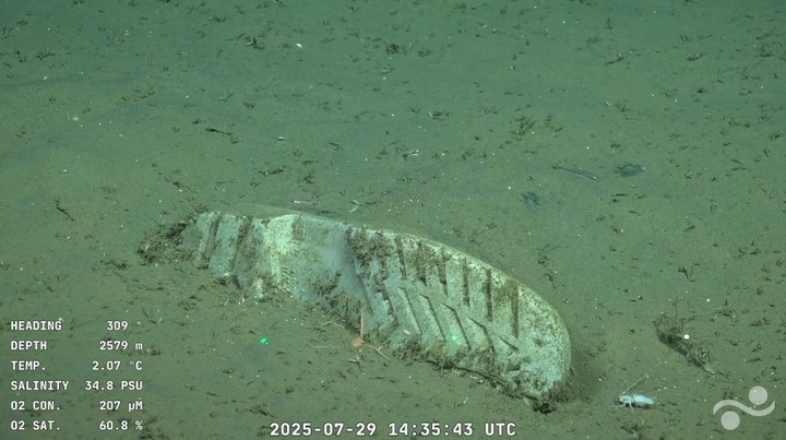 Una zapatilla en el fondo del mar.