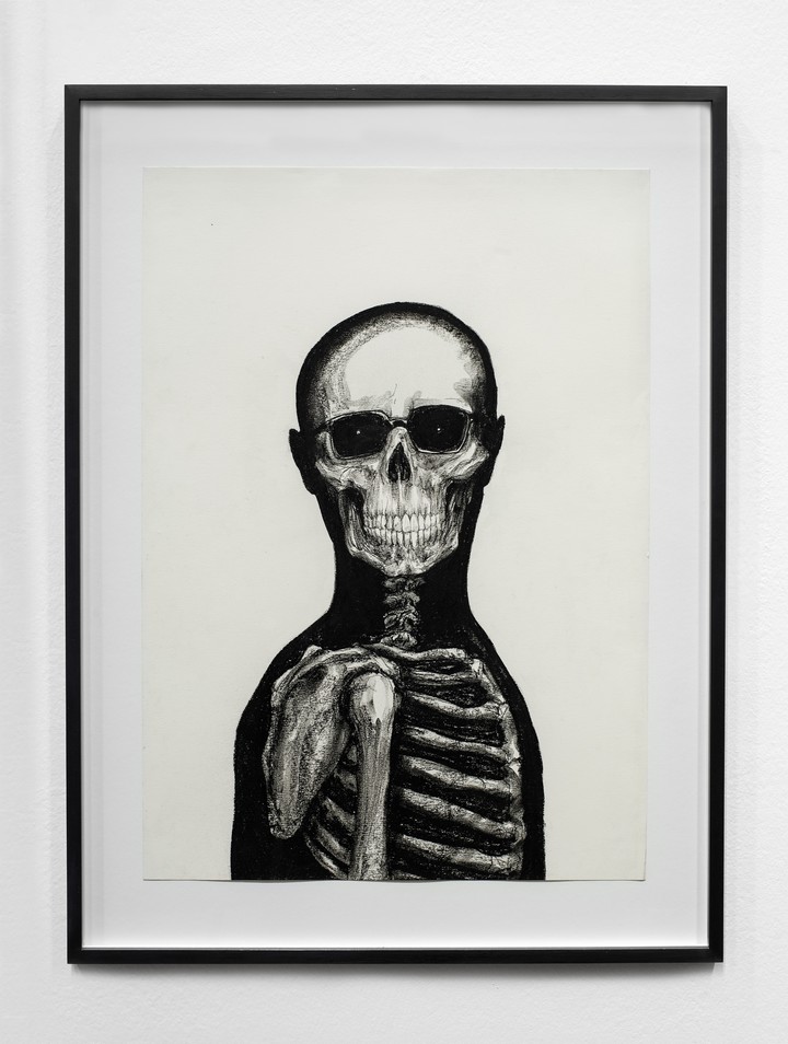 In Media Res. El título apela a la literalidad de abrir el cuerpo a la mitad. 