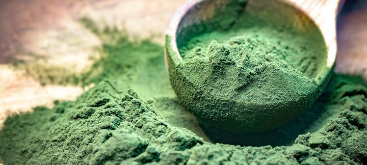 Espirulina en polvo. Foto Shutterstock.