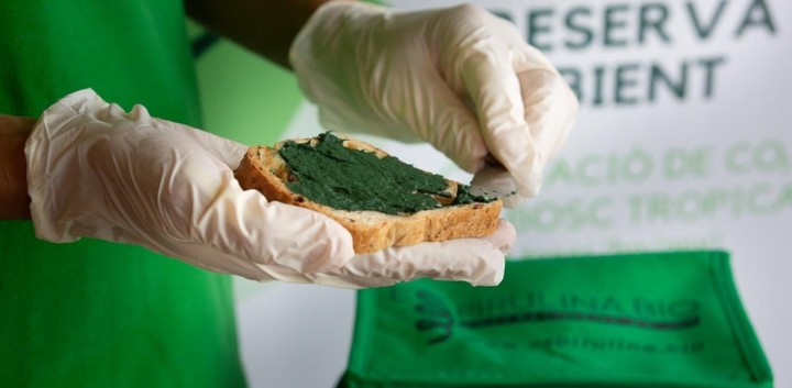 Organa Espirulina creó el untable de esta microalga.