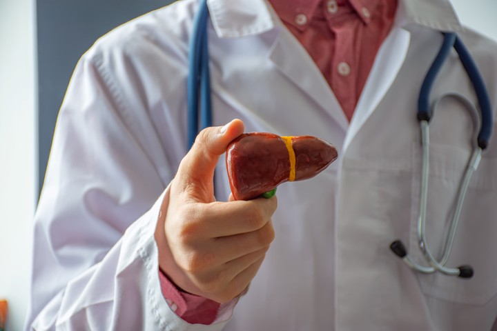 La acumulación de grasa y la inflamación actúan como una “autopista” de acceso a la cicatrización hepática y ésta a su vez puede dañar el ADN y provocar cáncer. Foto Shutterstock.